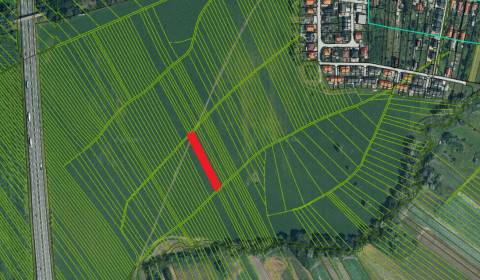 Prodej Zemědělské a lesní, Zemědělské a lesní, Malacky, Slovensko