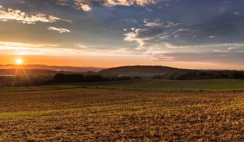 Prodej Zemědělské a lesní, Zemědělské a lesní, Trebišov, Slovensko