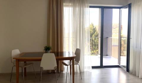 Pronájem Byt 2+1, Byt 2+1, Dolnohorská, Nitra, Slovensko