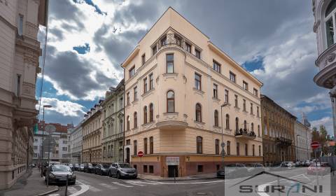 Pronájem Kancelářské prostory, Kancelářské prostory, Sládkovičova, Bra