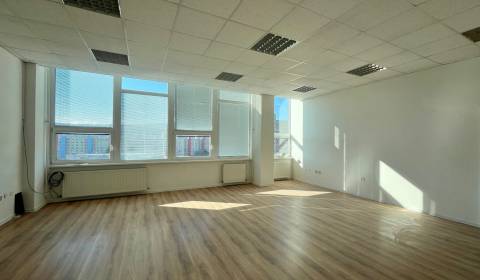 Pronájem Kancelářské prostory, Kancelářské prostory, Drobného, Bratisl