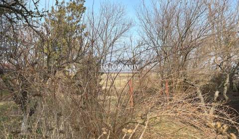 Prodej Pozemky - bydlení, Nové Zámky, Slovensko