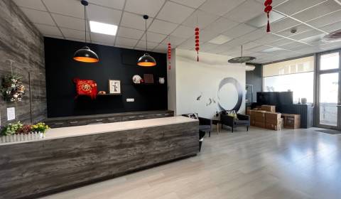 Pronájem Kancelářské prostory, Kancelářské prostory, Dunajská, Bratisl