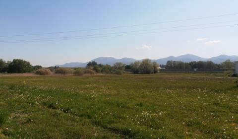 Prodej Pozemky - komerční, Pozemky - komerční, Červenej armády, Turčia