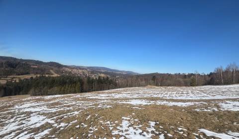 Prodej Pozemky - rekreace, Pozemky - rekreace, Skalité, Čadca, Slovens