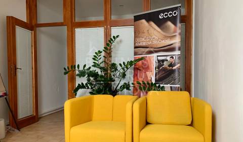 Pronájem Kancelářské prostory, Kancelářské prostory, Zochova, Bratisla