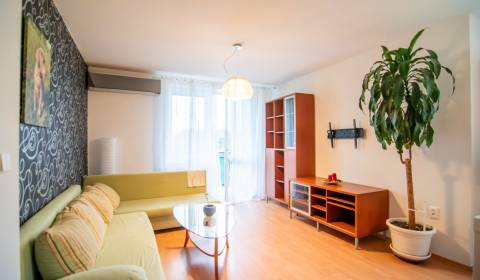 Pronájem Byt 3+1, Byt 3+1, Hroznová, Pezinok, Slovensko