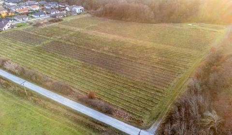 Prodej Zemědělské a lesní, Zemědělské a lesní, Novosadská, Pezinok, Sl