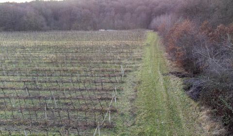 Prodej Zemědělské a lesní, Zemědělské a lesní, Novosadská, Pezinok, Sl