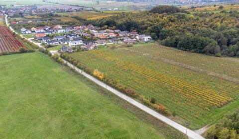 Prodej Zemědělské a lesní, Zemědělské a lesní, Novosadská, Pezinok, Sl