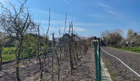 Prodej Pozemky - bydlení, Pozemky - bydlení, Dunajská Streda, Slovensk