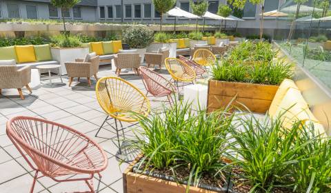 Pronájem Kancelářské prostory, Kancelářské prostory, Cintorínska, Brat