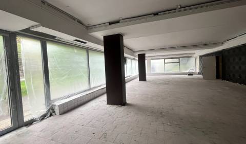 Pronájem Prostory pro obchod, Prostory pro obchod, Račianske mýto, Bra