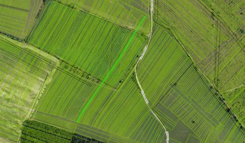 Prodej Zemědělské a lesní, Zemědělské a lesní, Vinohradská, Malacky, S