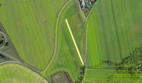 Prodej Zemědělské a lesní, Zemědělské a lesní, Zohorská, Malacky, Slov