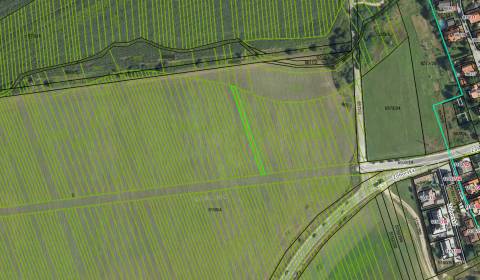 Prodej Zemědělské a lesní, Zemědělské a lesní, Zohorská, Malacky, Slov