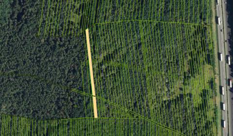 Prodej Zemědělské a lesní, Zemědělské a lesní, Malacky, Slovensko