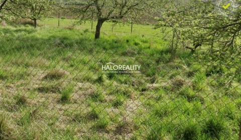 Prodej Zemědělské a lesní, Púchov, Slovensko