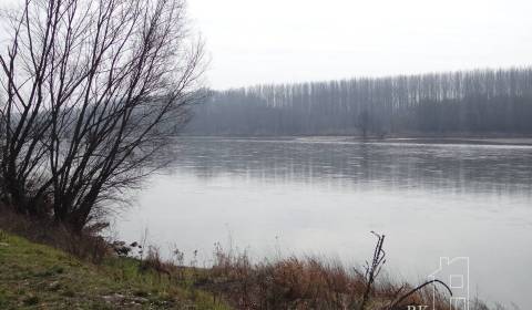 Prodej Pozemky - bydlení, Pozemky - bydlení, Starý prístav Gabčíkovo,
