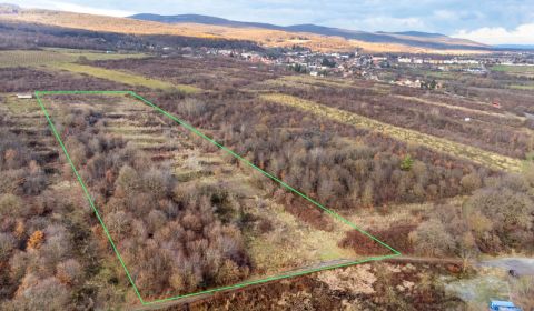 Prodej Pozemky - bydlení, Pozemky - bydlení, Pezinok, Slovensko