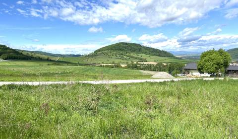 Prodej Pozemky - bydlení, Pozemky - bydlení, pod Pĺžikovci, Detva, Slo