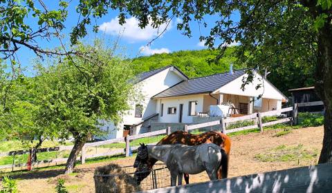 Prodej Rodinný dům, Rodinný dům, Prievidza, Slovensko