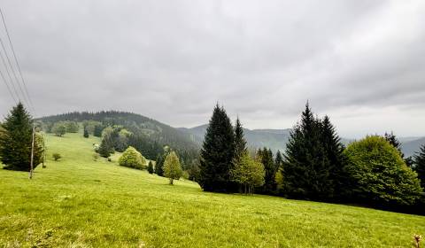 Prodej Pozemky - rekreace, Pozemky - rekreace, Gregušovci, Čadca, Slov