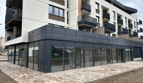 Pronájem Prostory pro obchod, Prostory pro obchod, Podtatranská , Popr