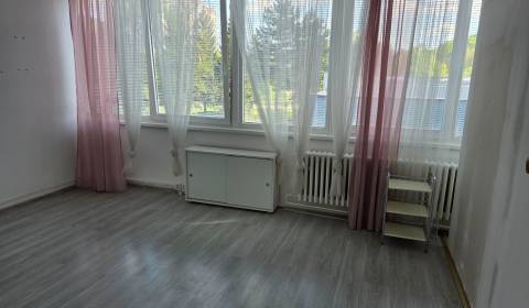 Pronájem Prostory pro obchod, Prostory pro obchod, Centrum, Považská B