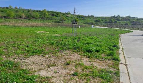 Prodej Pozemky - bydlení, Pozemky - bydlení, Pod Vinicami, Pezinok, Sl