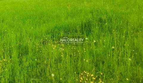 Prodej Pozemky - bydlení, Púchov, Slovensko