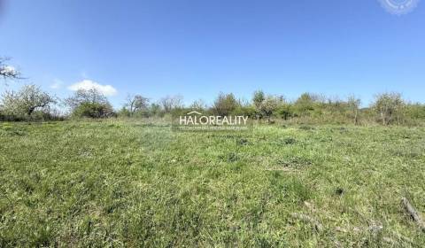 Prodej Zahrady, Levice, Slovensko