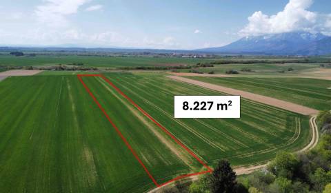 Prodej Zemědělské a lesní, Zemědělské a lesní, Kežmarok, Slovensko