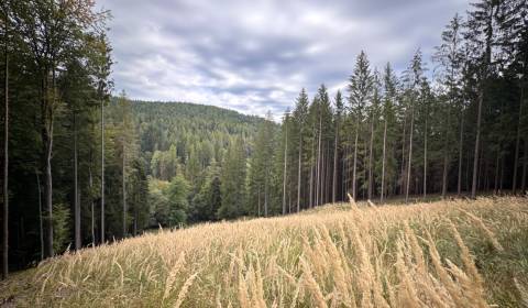 Prodej Zemědělské a lesní, Zemědělské a lesní, Trenčín, Slovensko