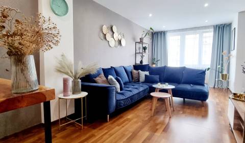 Pronájem Byt 2+1, Byt 2+1, Ľudmily Podjavorinskej, Trnava, Slovensko