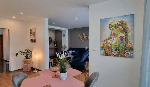 Pronájem Byt 2+1, Byt 2+1, Ľudmily Podjavorinskej, Trnava, Slovensko