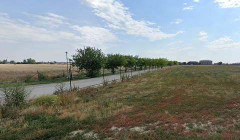 Prodej Budova, Budova, Senec, Slovensko