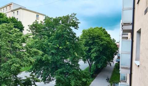 Pronájem Byt 2+1, Byt 2+1, Rastislavova, Košice - Juh, Slovensko