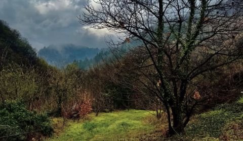 Prodej Zemědělské a lesní, Zemědělské a lesní, Humenné, Slovensko