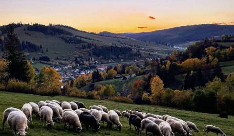 Prodej Zemědělské a lesní, Zemědělské a lesní, Brezno, Slovensko