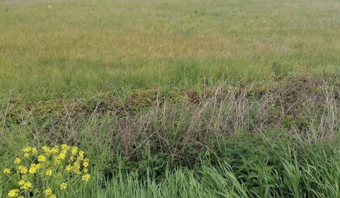 Prodej Pozemky - komerční, Pozemky - komerční, Sučany, Martin, Slovens