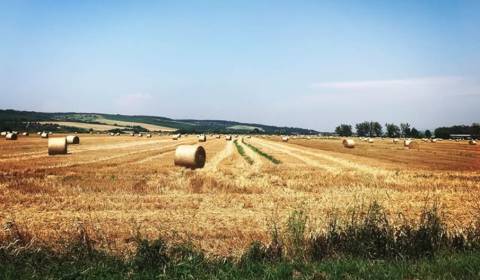 Prodej Zemědělské a lesní, Zemědělské a lesní, Košice-okolie, Slovensk