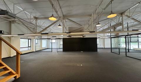 Pronájem Kancelářské prostory, Kancelářské prostory, Sliačska, Bratisl