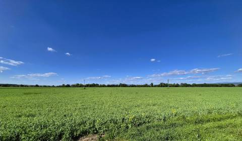 Prodej Zemědělské a lesní, Zemědělské a lesní, Topoľčany, Slovensko