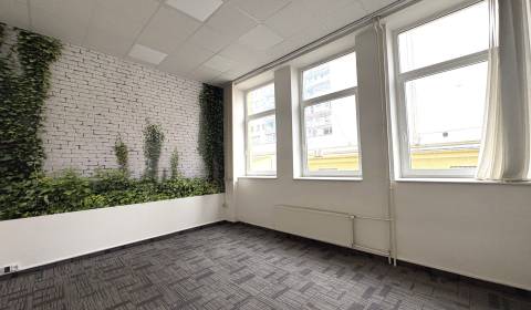 Pronájem Kancelářské prostory, Kancelářské prostory, Trnavská cesta, B