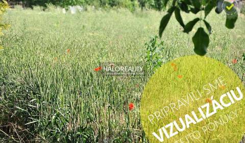 Prodej Pozemky - bydlení, Levice, Slovensko