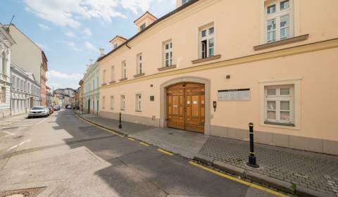 Pronájem Kancelářské prostory, Kancelářské prostory, Panenská, Bratisl