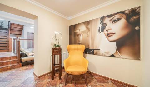 Prodej Budova, Budova, Ľudové námestie, Bratislava - Nové Mesto, Slove