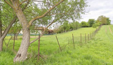 Prodej Pozemky - bydlení, Pozemky - bydlení, Jarková, Prešov, Slovensk