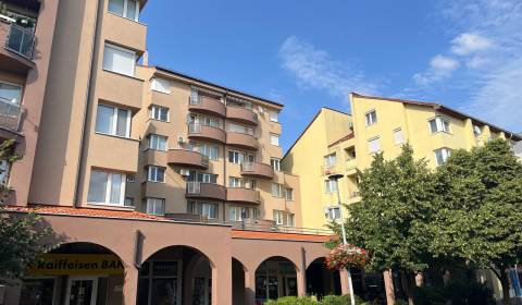 Prodej Prostory pro obchod, Prostory pro obchod, Lichnerova, Senec, Sl